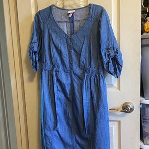 Isabel Maternity by Ingrid & Isabel Blue Denim Dress